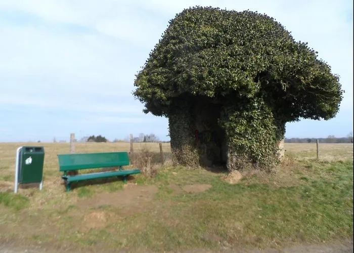 D'anthisnes Gæstehus 3*