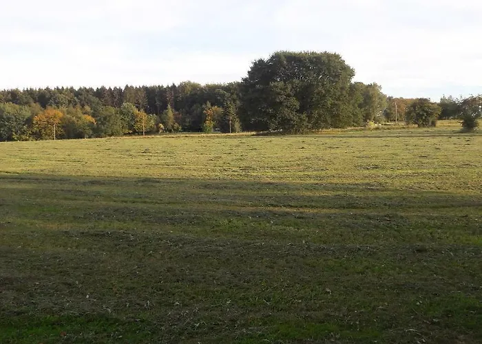 D'anthisnes Anthisnes